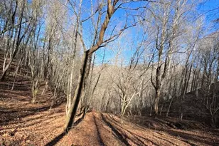 12982 US 19W Hwy, Burnsville, NC 28714 - Photo 3