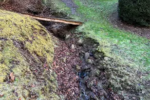 12982 US 19W Hwy, Burnsville, NC 28714 - Photo 11