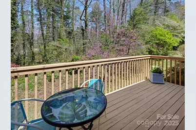 101 Beaver Ridge Road, Asheville, NC 28804 - Photo 15