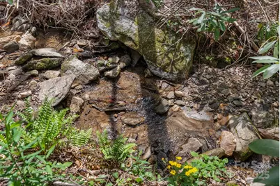 32 Indian Knob Road, Asheville, NC 28803 - Photo 33