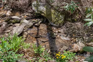 32 Indian Knob Rd, Asheville, NC 28803 - Photo 33