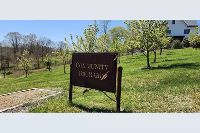 31 Sweet Fern Parkway #42, Asheville, NC 28804 - Photo 19