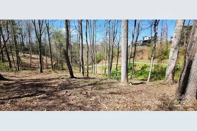 31 Sweet Fern Parkway #42, Asheville, NC 28804 - Photo 3