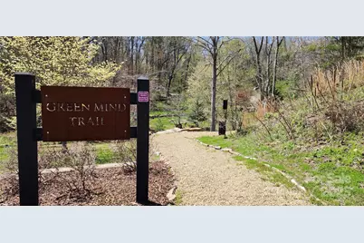 31 Sweet Fern Parkway #42, Asheville, NC 28804 - Photo 17