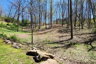 31 Sweet Fern Pkwy, Asheville, NC 28804 - Photo 1