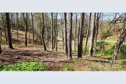 31 Sweet Fern Parkway #42, Asheville, NC 28804 - Photo 5