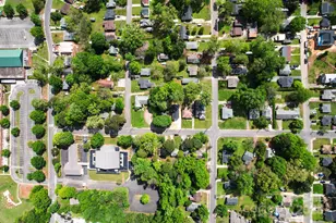 10202 Orchard Grass Ct, Charlotte, NC 28278 - Photo 43