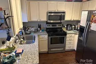 10202 Orchard Grass Ct, Charlotte, NC 28278 - Photo 9