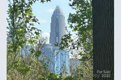 1413 Hateras Avenue, Charlotte, NC 28216 - Photo 11