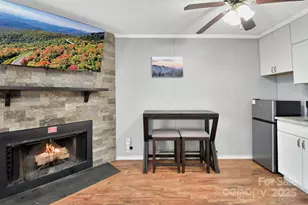 301 Pinnacle Inn Rd, Beech Mountain, NC 28604 - Photo 7