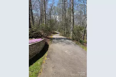 L18 & L19 Cadence Circle, Brevard, NC 28712 - Photo 9