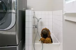 1 Cedar Chine Dr, Asheville, NC 28803 - Photo 33