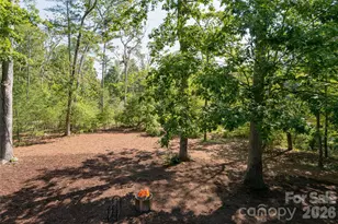 1 Cedar Chine Dr, Asheville, NC 28803 - Photo 19