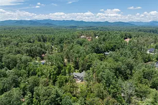 3 Fir Tree Ln, Asheville, NC 28803 - Photo 45