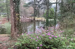 101 Lakemont Dr, Flat Rock, NC 28731 - Photo 23