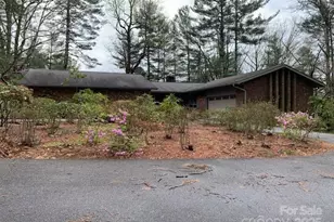 101 Lakemont Dr, Flat Rock, NC 28731 - Photo 1