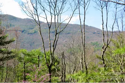 422 Lakeside Drive #L015, L016, Lake Toxaway, NC 28747 - Photo 11