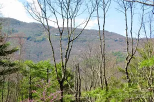 422 Lakeside Dr, Lake Toxaway, NC 28747 - Photo 11