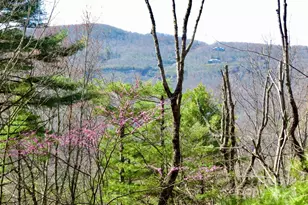 422 Lakeside Dr, Lake Toxaway, NC 28747 - Photo 3