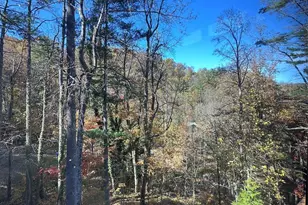 42 Spring Cove Rd, Asheville, NC 28804 - Photo 3