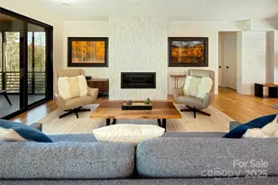 42 Spring Cove Rd, Asheville, NC 28804 - Photo 13