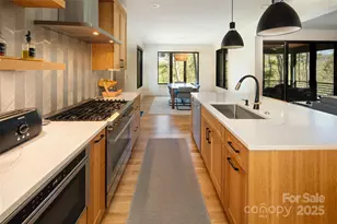 42 Spring Cove Rd, Asheville, NC 28804 - Photo 15