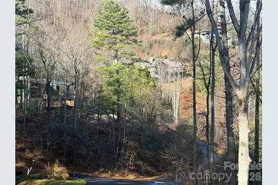 42 Spring Cove Road, Asheville, NC 28804 - Photo 3