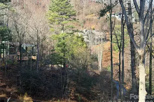 42 Spring Cove Rd, Asheville, NC 28804 - Photo 3