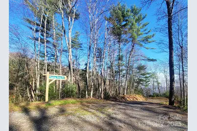 111 Digging Seng Trail #138, Waynesville, NC 28785 - Photo 3