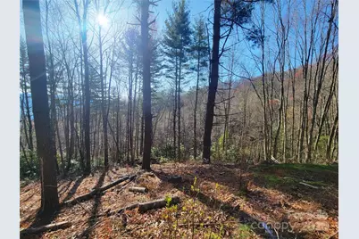 111 Digging Seng Trail #138, Waynesville, NC 28785 - Photo 15