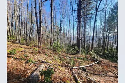 111 Digging Seng Trail #138, Waynesville, NC 28785 - Photo 11