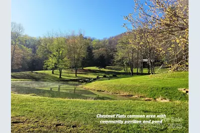 111 Digging Seng Trail #138, Waynesville, NC 28785 - Photo 23