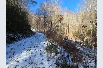 111 Digging Seng Trail #138, Waynesville, NC 28785 - Photo 13