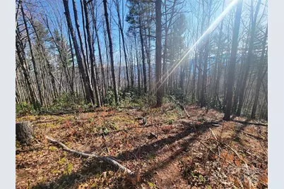 111 Digging Seng Trail #138, Waynesville, NC 28785 - Photo 5