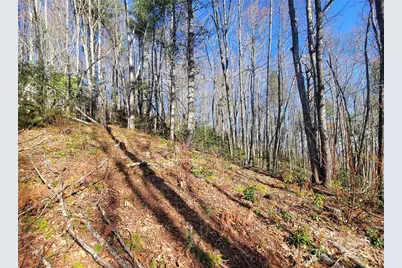 111 Digging Seng Trail #138, Waynesville, NC 28785 - Photo 7