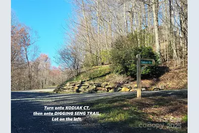 111 Digging Seng Trail #138, Waynesville, NC 28785 - Photo 25