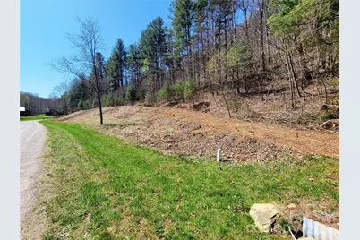 300 Shining Rock Drive #25, Canton, NC 28716 - Photo 1