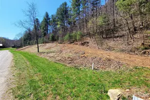 300 Shining Rock Dr, Canton, NC 28716 - Photo 1