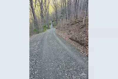 99999 Pink Fox Cove Road, Weaverville, NC 28787 - Photo 5