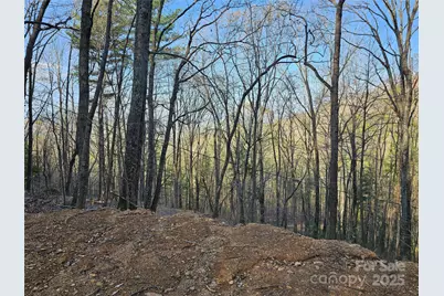 99999 Pink Fox Cove Road, Weaverville, NC 28787 - Photo 7