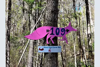 99999 Pink Fox Cove Road, Weaverville, NC 28787 - Photo 1