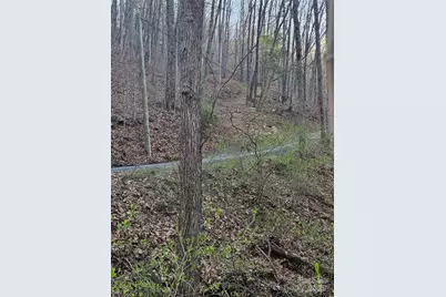 99999 Pink Fox Cove Road, Weaverville, NC 28787 - Photo 11