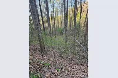 99999 Pink Fox Cove Road, Weaverville, NC 28787 - Photo 3