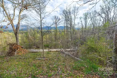 Lot 2 Wake Robin Way, Asheville, NC 28805 - Photo 21