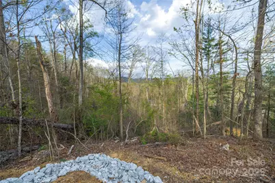 Lot 2 Wake Robin Way, Asheville, NC 28805 - Photo 17