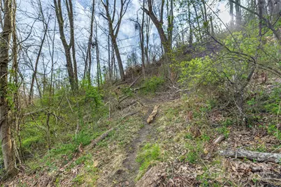 Lot 2 Wake Robin Way, Asheville, NC 28805 - Photo 25