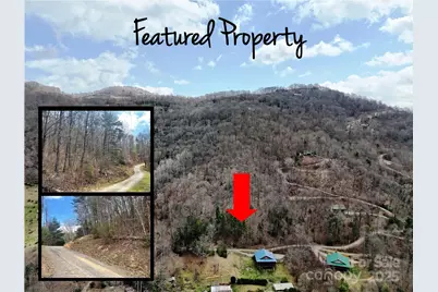 Tbd Moonbeam Lane #101 & 102, Clyde, NC 28721 - Photo 1