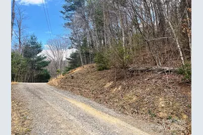 Tbd Moonbeam Lane #101 & 102, Clyde, NC 28721 - Photo 13