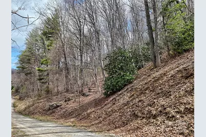 Tbd Moonbeam Lane #101 & 102, Clyde, NC 28721 - Photo 11