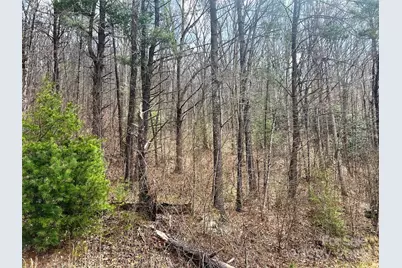 Tbd Moonbeam Lane #101 & 102, Clyde, NC 28721 - Photo 15